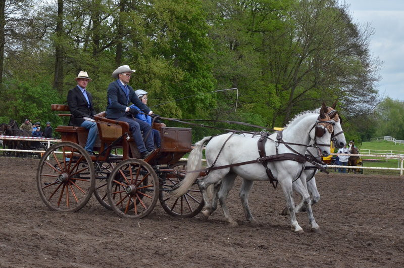 Puchary starosty dla powożących (zdjęcia)