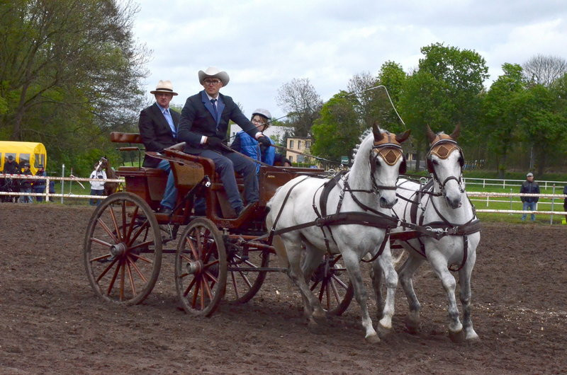 Puchary starosty dla powożących (zdjęcia)