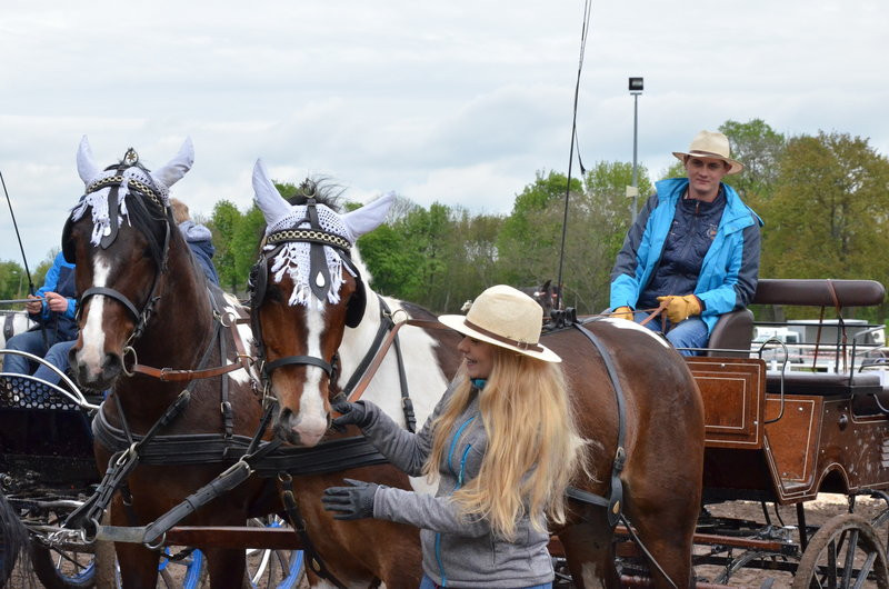 Puchary starosty dla powożących (zdjęcia)