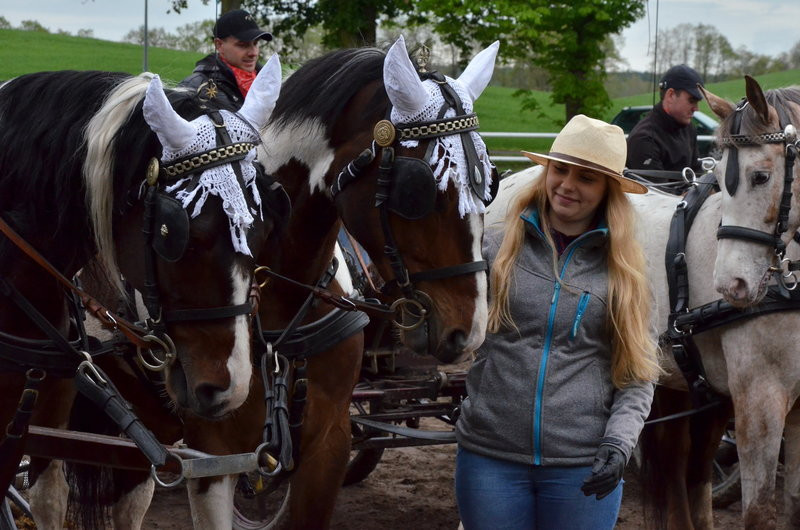 Puchary starosty dla powożących (zdjęcia)