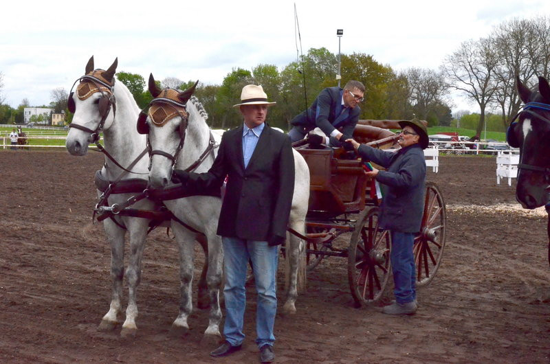 Puchary starosty dla powożących (zdjęcia)