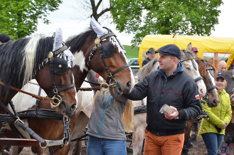 Puchary starosty dla powożących (zdjęcia)