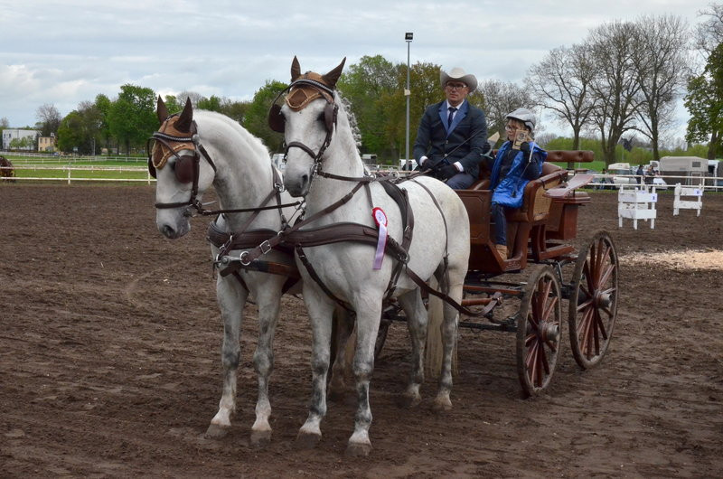 Puchary starosty dla powożących (zdjęcia)
