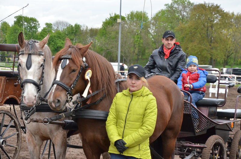 Puchary starosty dla powożących (zdjęcia)