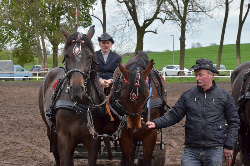Puchary starosty dla powożących (zdjęcia)