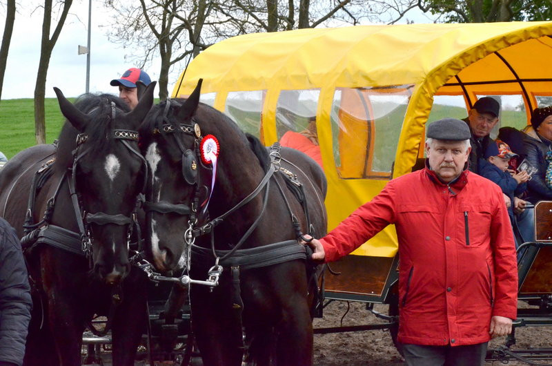 Puchary starosty dla powożących (zdjęcia)