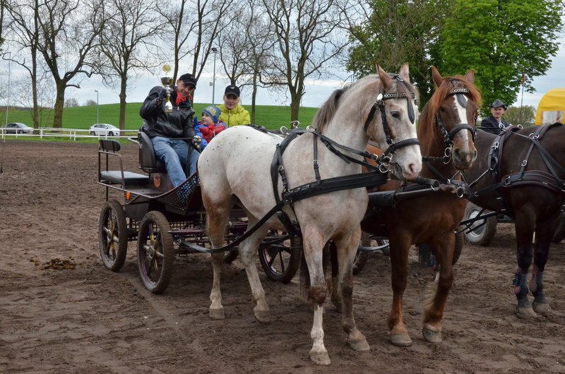 Puchary starosty dla powożących (zdjęcia)