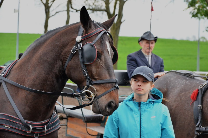 Puchary starosty dla powożących (zdjęcia)