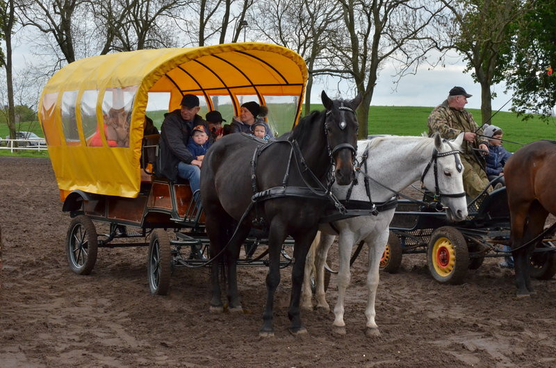 Puchary starosty dla powożących (zdjęcia)
