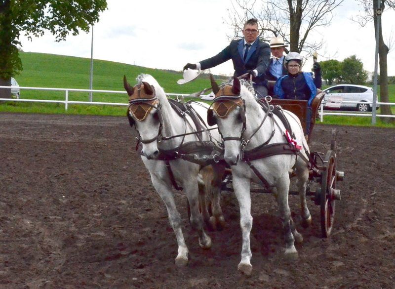 Puchary starosty dla powożących (zdjęcia)