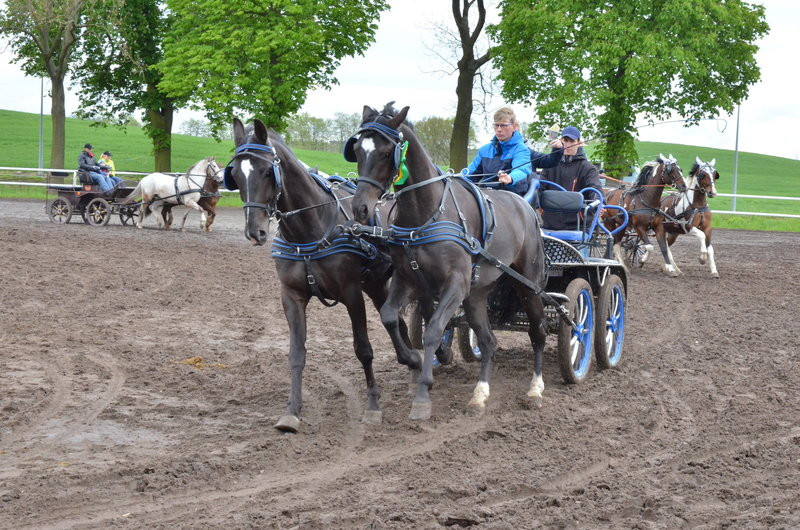 Puchary starosty dla powożących (zdjęcia)