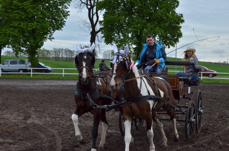 Puchary starosty dla powożących (zdjęcia)