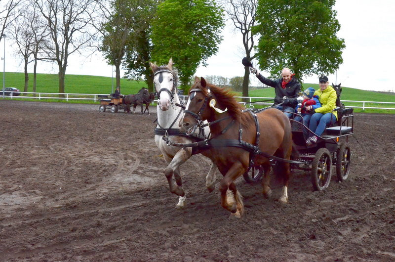 Puchary starosty dla powożących (zdjęcia)