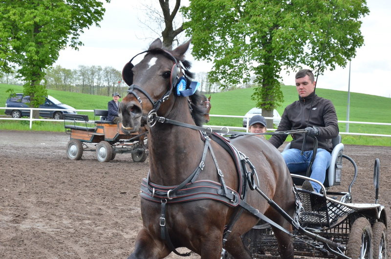 Puchary starosty dla powożących (zdjęcia)