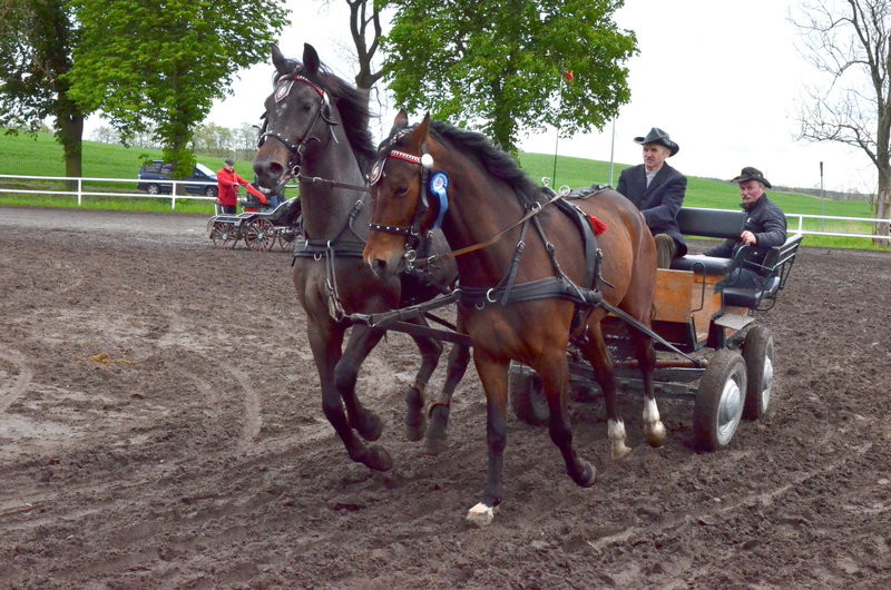 Puchary starosty dla powożących (zdjęcia)