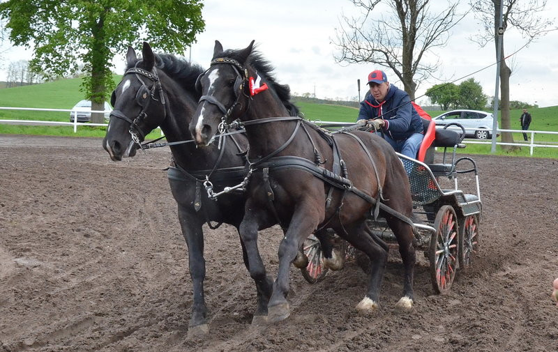 Puchary starosty dla powożących (zdjęcia)