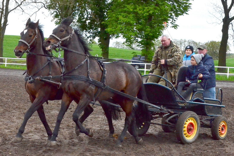 Puchary starosty dla powożących (zdjęcia)