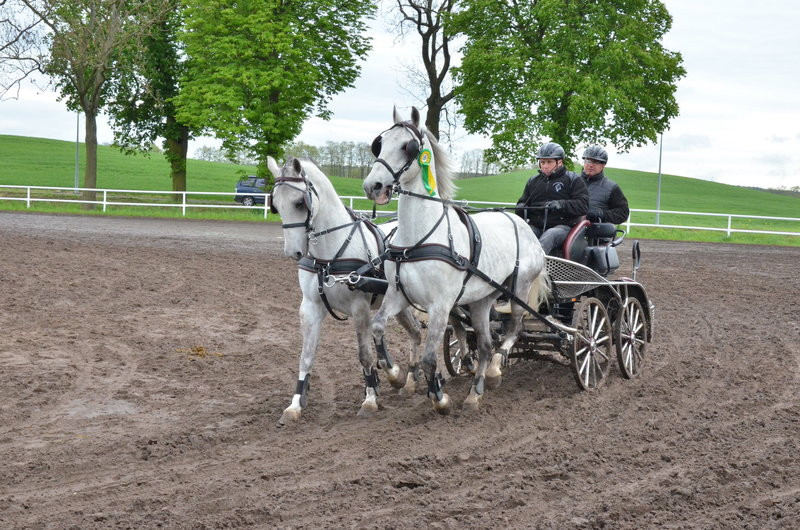 Puchary starosty dla powożących (zdjęcia)