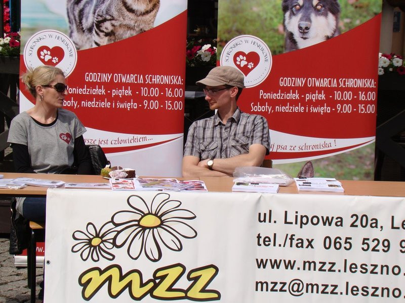 Kolorowo, radośnie, słonecznie (zdjęcia)