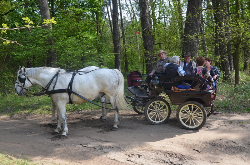 Majówka w Dolinie Samicy (zdjęcia)