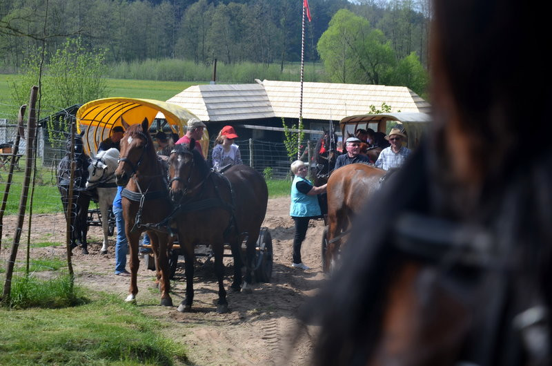 Majówka w Dolinie Samicy (zdjęcia)