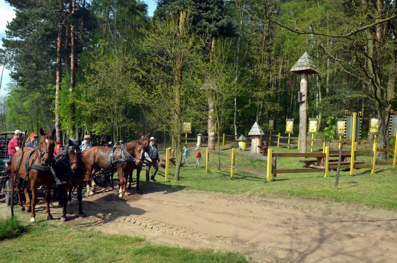 Majówka w Dolinie Samicy (zdjęcia)