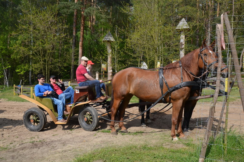 Majówka w Dolinie Samicy (zdjęcia)