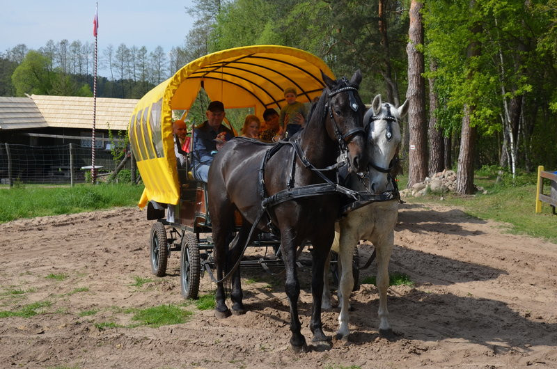 Majówka w Dolinie Samicy (zdjęcia)