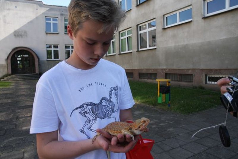 Festiwal z nutą pożegnania (kilka zdjęć)