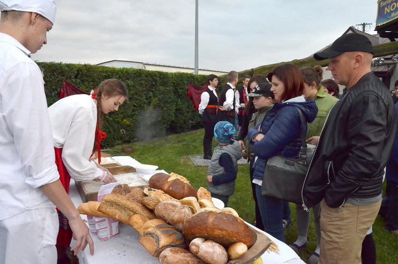 Eksponaty w użyciu przed święciechowskim wiatrakiem (zdjęcia)