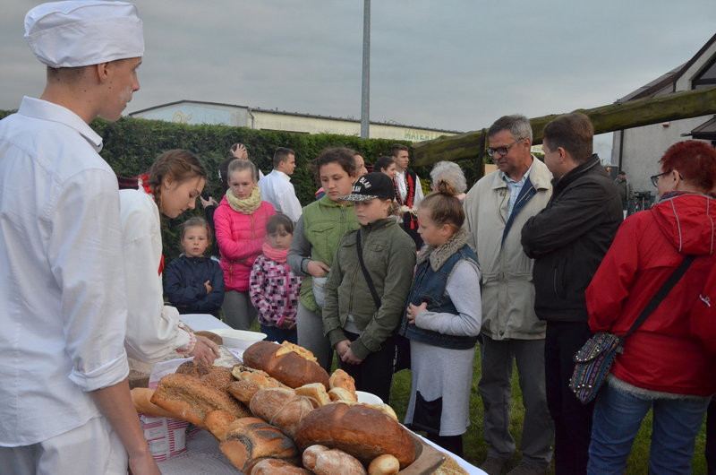 Eksponaty w użyciu przed święciechowskim wiatrakiem (zdjęcia)
