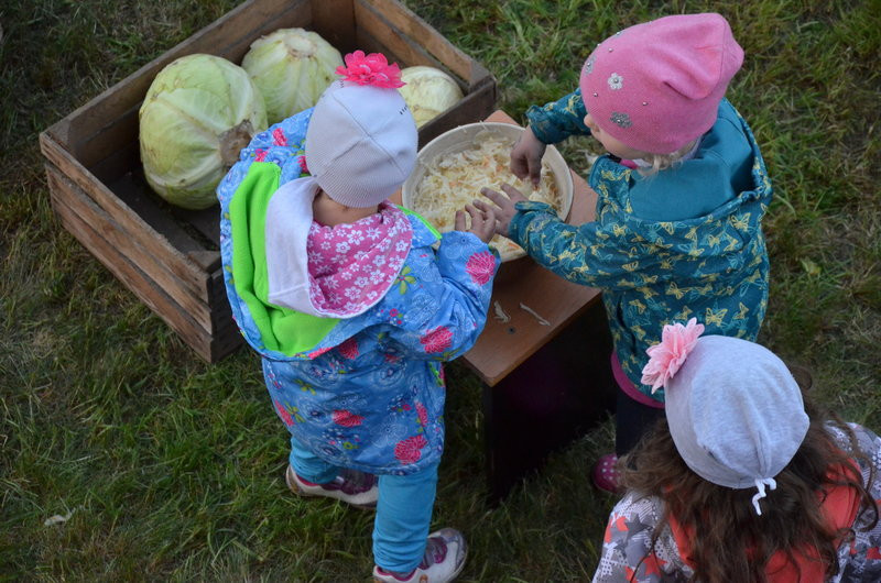 Eksponaty w użyciu przed święciechowskim wiatrakiem (zdjęcia)