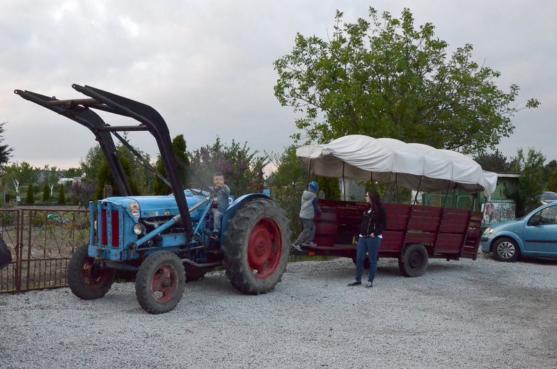 Eksponaty w użyciu przed święciechowskim wiatrakiem (zdjęcia)