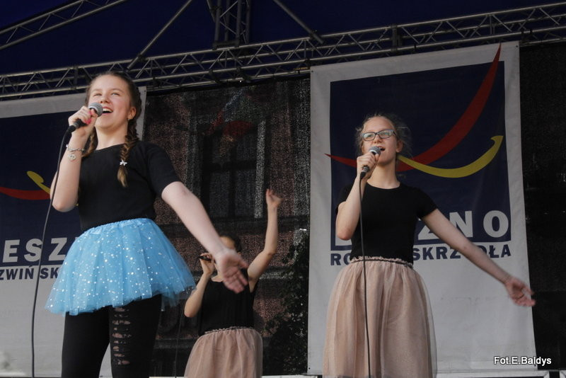 Udane Dni Leszna 2017 (zdjęcia, filmy)