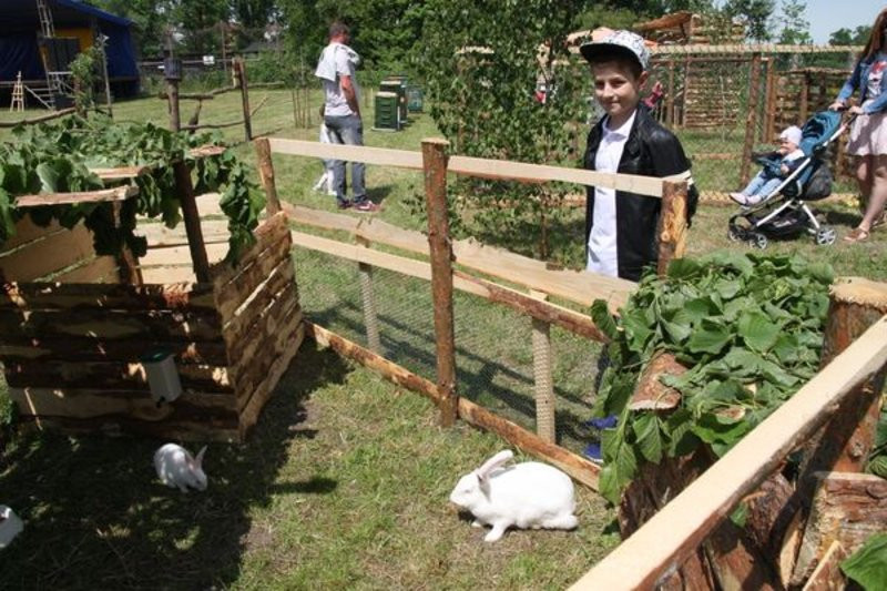 Święto Jukundusa w Rydzynie (zdjęcia)