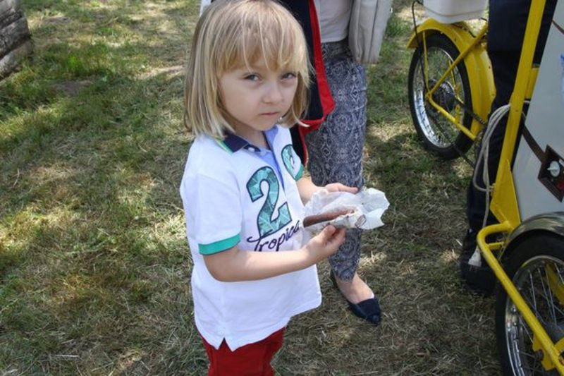 Święto Jukundusa w Rydzynie (zdjęcia)