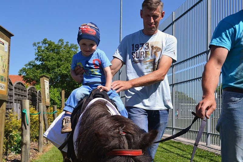 Garzyn bawił się na całego! (dużo zdjęć)