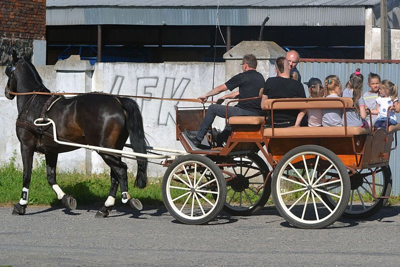 Garzyn bawił się na całego! (dużo zdjęć)