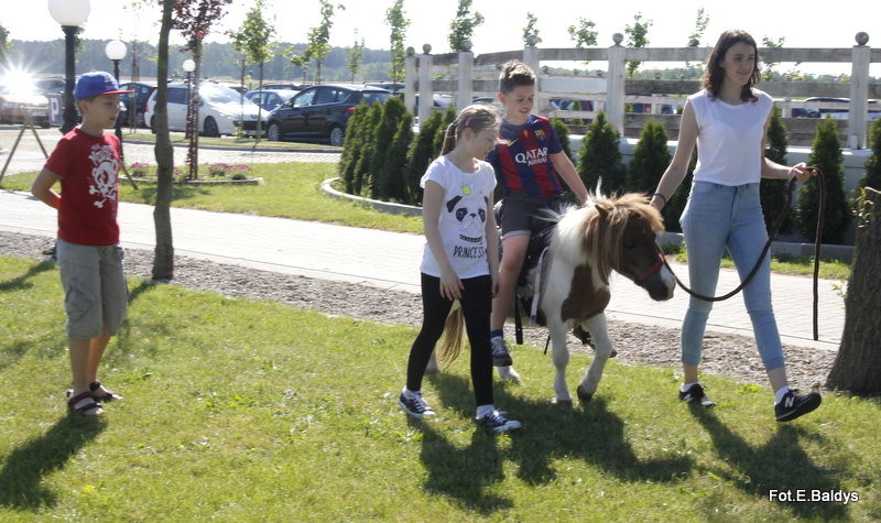 Festyn Rodzinny Urzędu Miasta (zdjęcia)