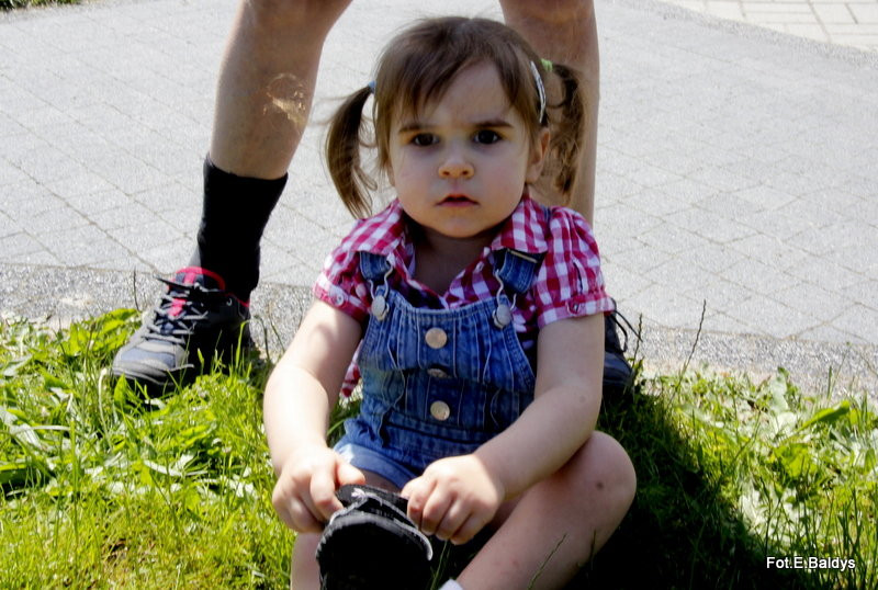 Festyn Rodzinny Urzędu Miasta (zdjęcia)