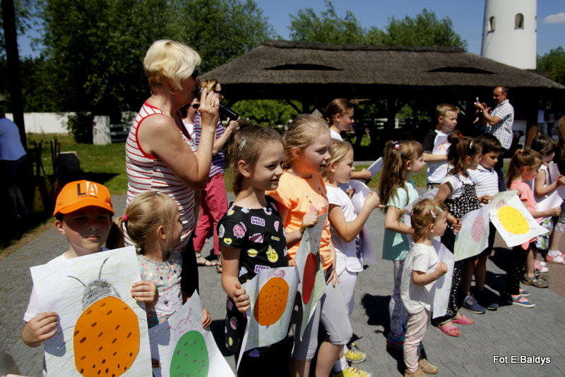 Festyn Rodzinny Urzędu Miasta (zdjęcia)
