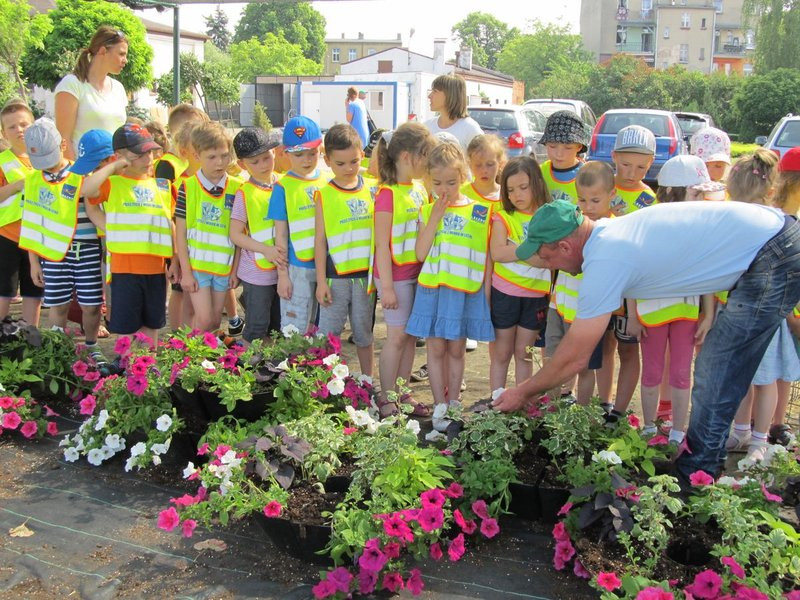 Pracownicy zieleni zapraszają do zakładu (zdjęcia)