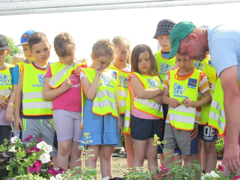 Pracownicy zieleni zapraszają do zakładu (zdjęcia)