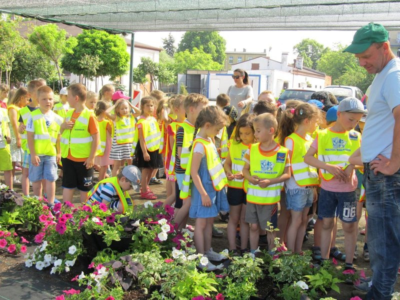 Pracownicy zieleni zapraszają do zakładu (zdjęcia)