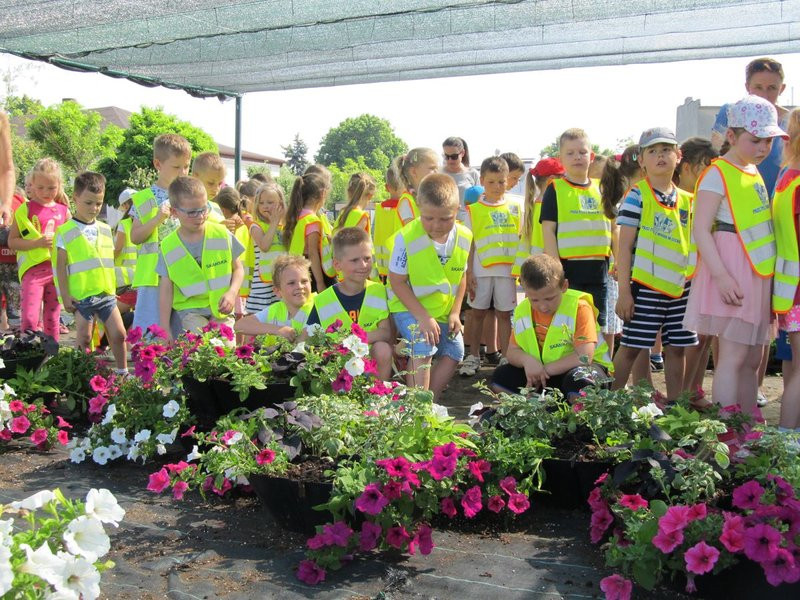 Pracownicy zieleni zapraszają do zakładu (zdjęcia)