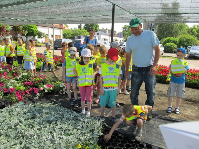 Pracownicy zieleni zapraszają do zakładu (zdjęcia)