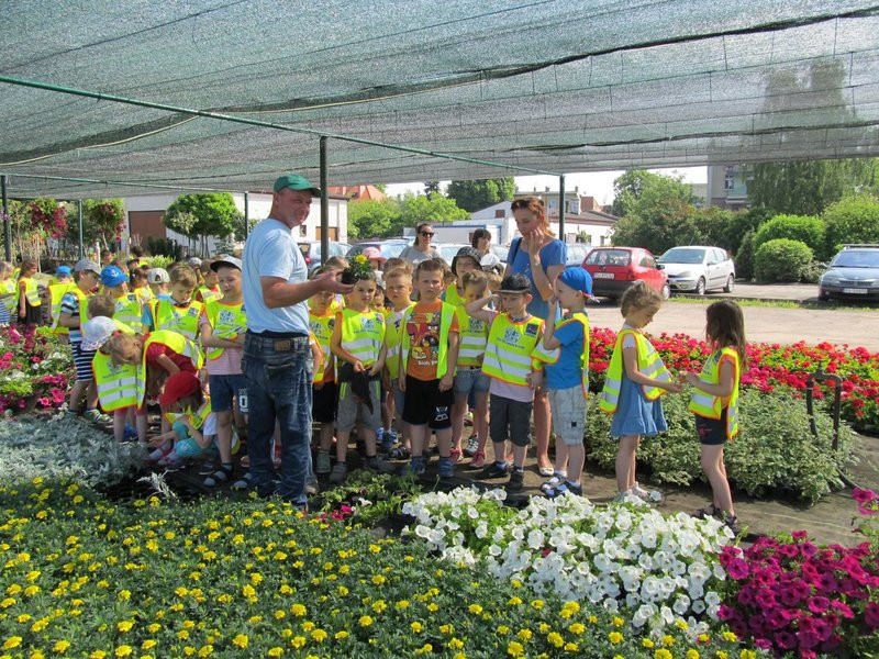 Pracownicy zieleni zapraszają do zakładu (zdjęcia)