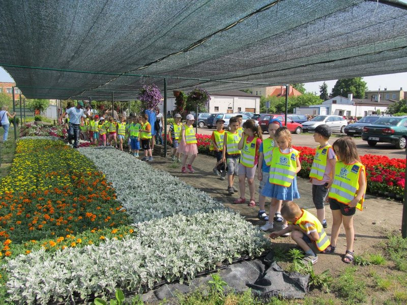 Pracownicy zieleni zapraszają do zakładu (zdjęcia)
