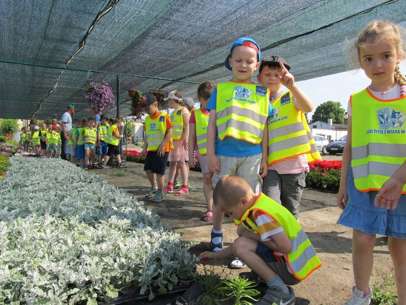 Pracownicy zieleni zapraszają do zakładu (zdjęcia)