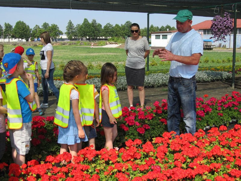 Pracownicy zieleni zapraszają do zakładu (zdjęcia)